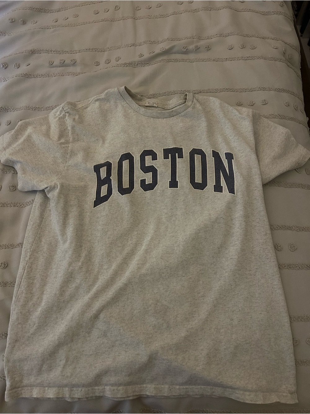 Brandy Melville Gray Boston Graphic Tee